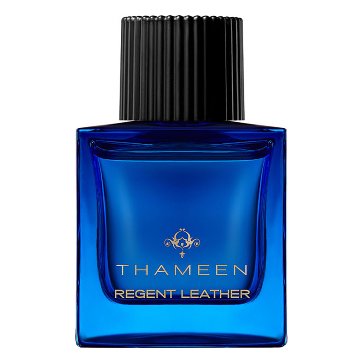 regent_leather_extrait_de_parfum_100ml_1_K4bKceuNtz.webp