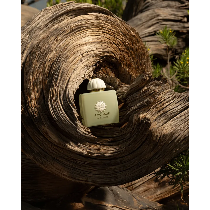 Amouage Guidance 46