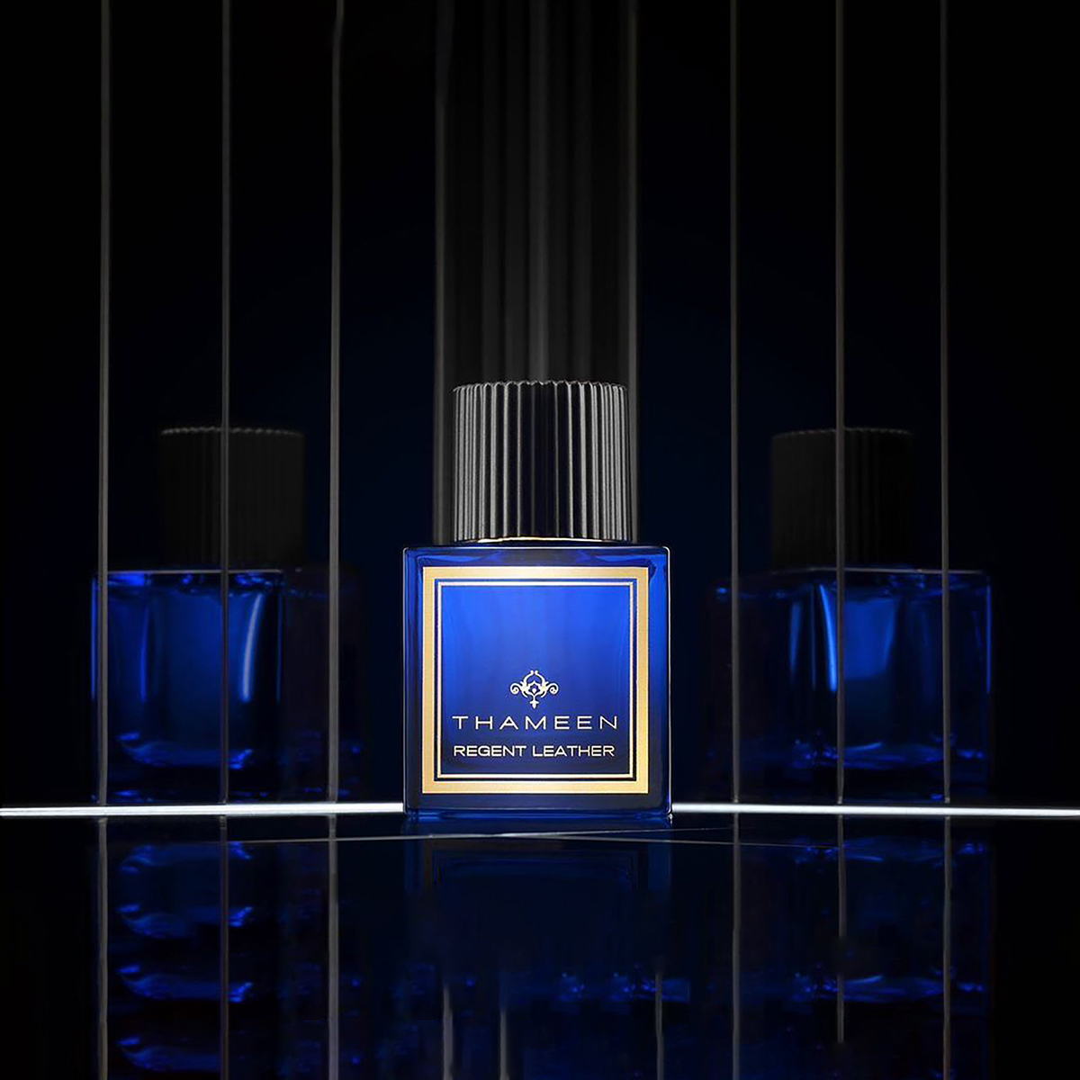 regent_leather_extrait_de_parfum_3_hwzo9B4Qa9.webp