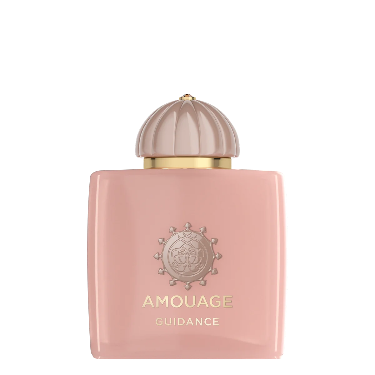 香水(女性用) AMOUAGE GUIDANCE Eau de Parfum 100ml Guidance 100 ml by Amouage | Agoratopia Cyprus